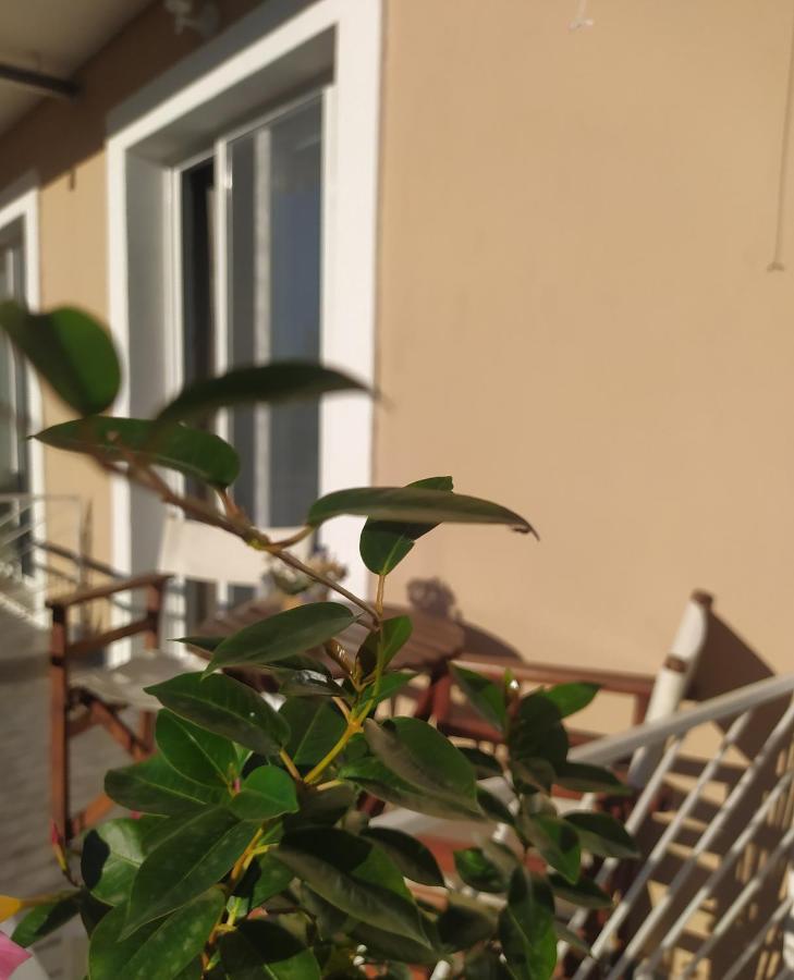 Apartmani Vico Herceg Novi Exteriör bild